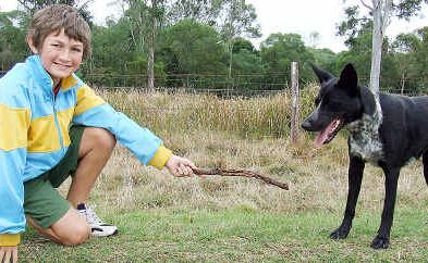 Angus Stewart with his new dog, Molly. He says his new playmate is full of energy and like to chase sticks. Angus Stewart with his new dog, Molly. He says his new playmate is full of energy and like to chase sticks.